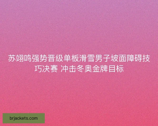 苏翊鸣强势晋级单板滑雪男子坡面障碍技巧决赛 冲击冬奥金牌目标